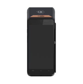 Ingenico DX8000-2 | WI-FI + LAN + BLUETOOTH